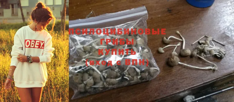 Псилоцибиновые грибы Cubensis  Называевск 